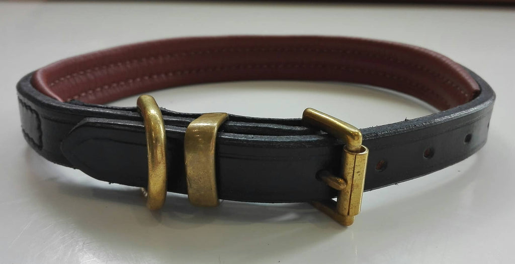 Padded Solid Leather Dog Collar
