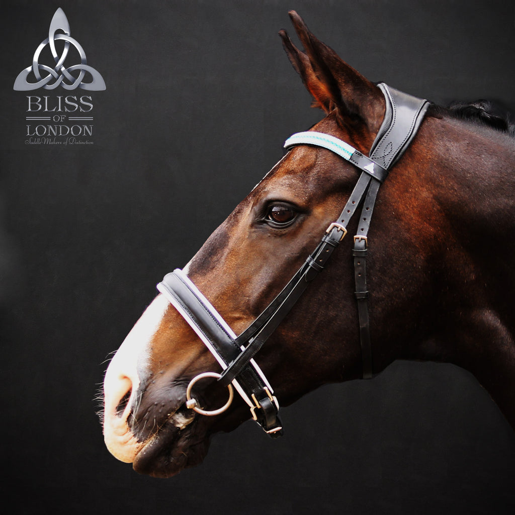 Bliss of London Loxley Contender Bridle