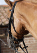 Abriano Anatomic Double Bridle