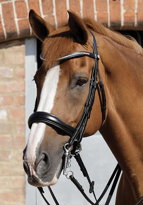 Premier Equine Abriano Anatomic Double Bridle