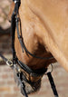 Rizzo Anatomic Snaffle Bridle with Flash
