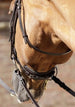Verdura Anatomic Snaffle Bridle - Pony, Cob and Full
