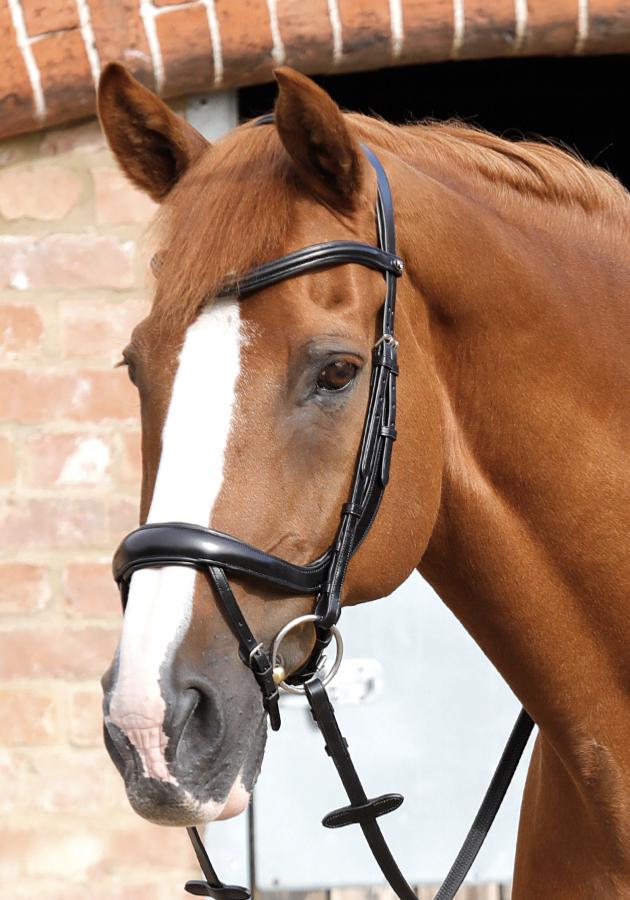 Premier Equine Savuto Anatomic Bridle with Crank Noseband & Flash