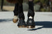 LeMieux ProShell Over Reach Boots Black
